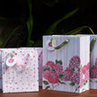 GIFT BAGS - Medium
